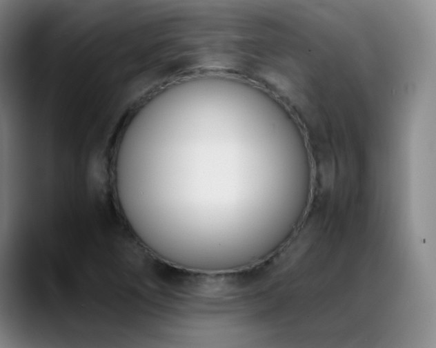 X0000089431266200706151302