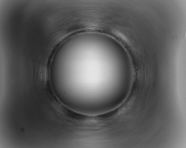 X0000089431267200706151302