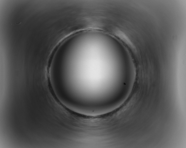 X0000089431268200706151302