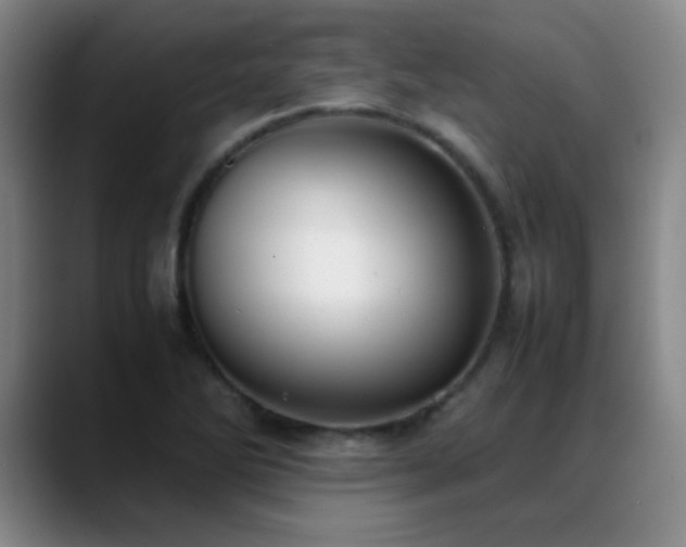 X0000089431270200706151302