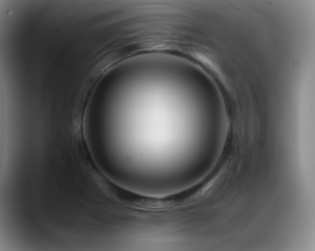 X0000089431273200706151302