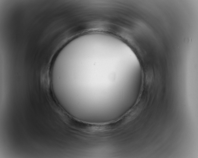 X0000089431274200706151302