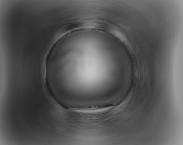 X0000089431275200706151302
