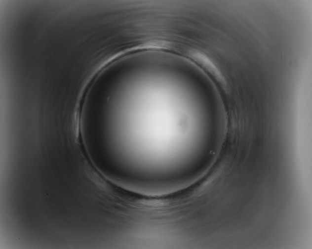 X0000089431276200706151302