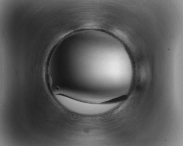 X0000089431277200706151302