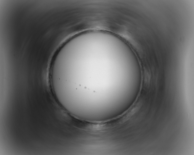 X0000089431278200706151302