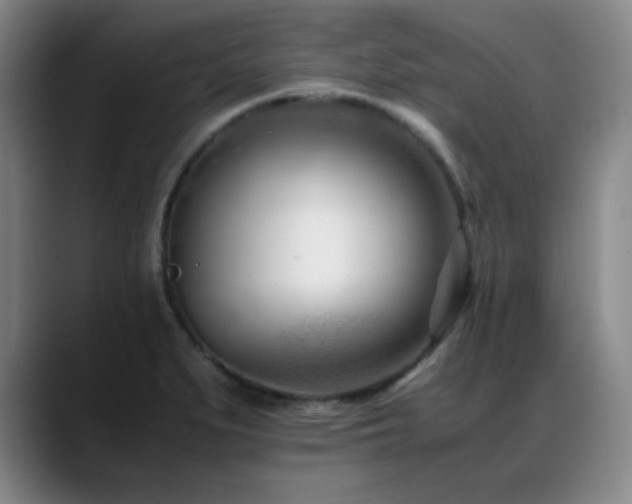 X0000089431279200706151302