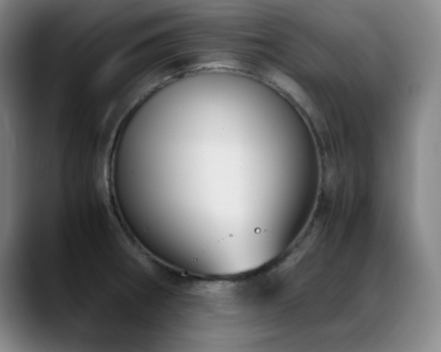 X0000089431282200706151302