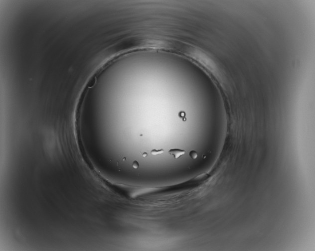 X0000089431283200706151302
