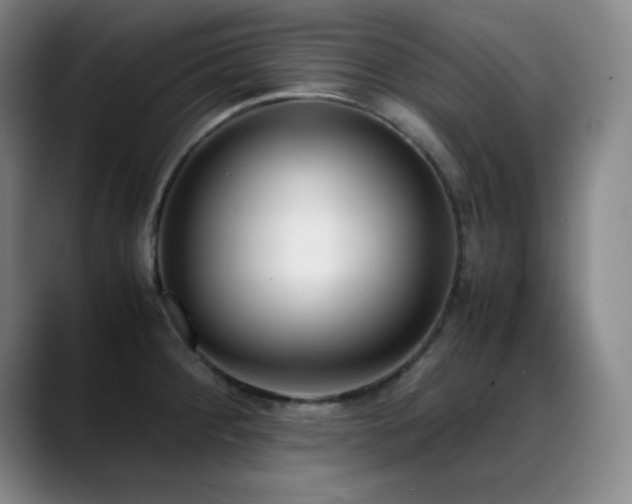 X0000089431284200706151302