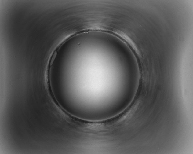 X0000089431285200706151302