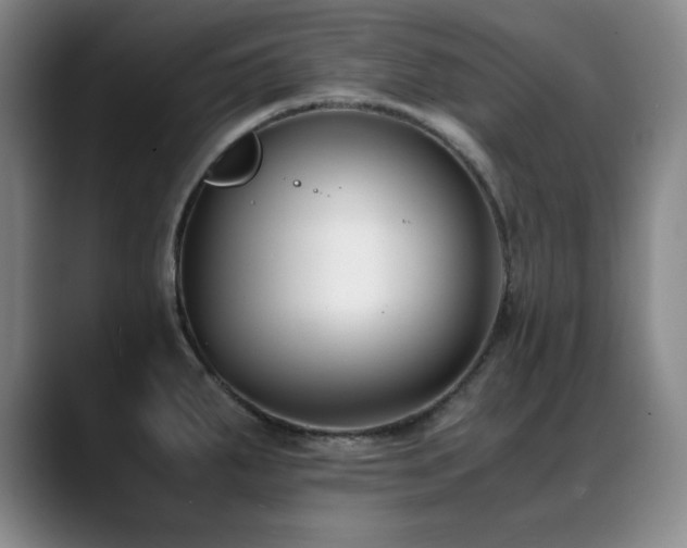 X0000089431287200706151302