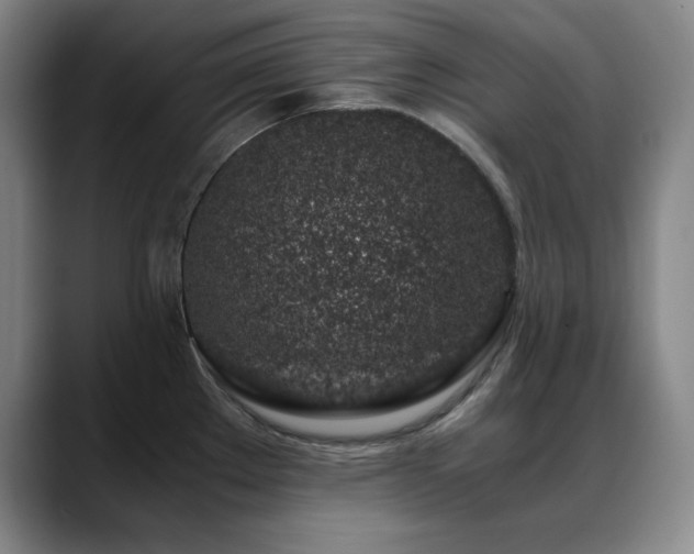 X0000089431289200706151302