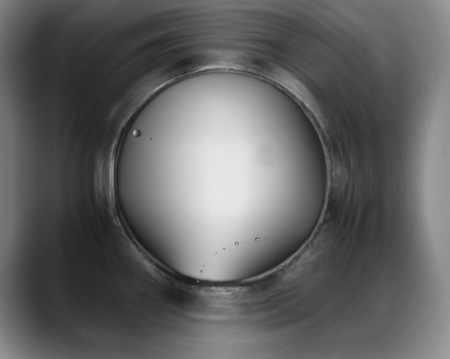 X0000089431290200706151302