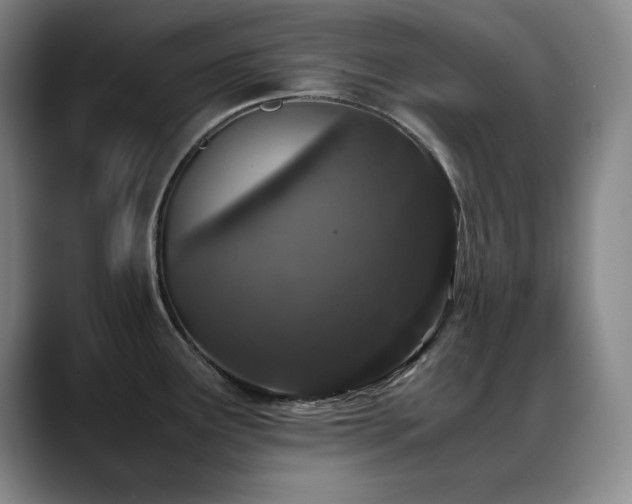 X0000089431291200706151302