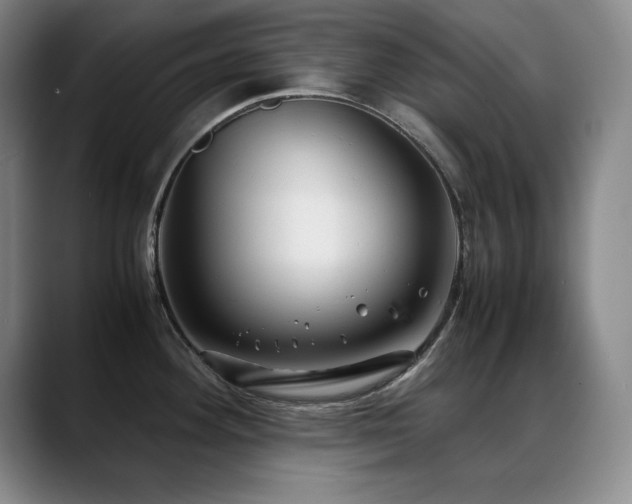 X0000089431292200706151302