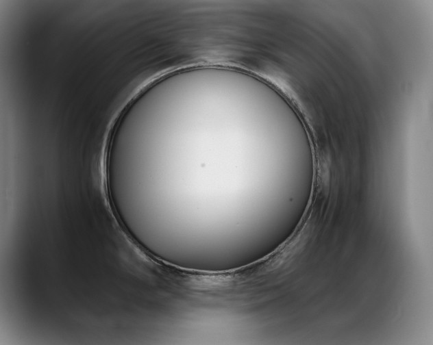 X0000089431294200706151302
