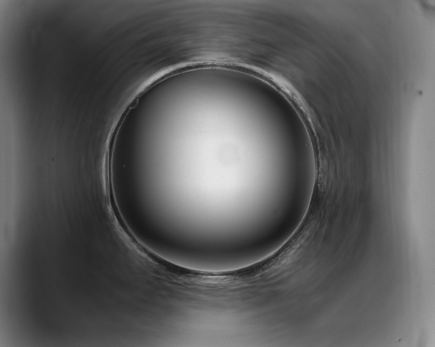 X0000089431295200706151302