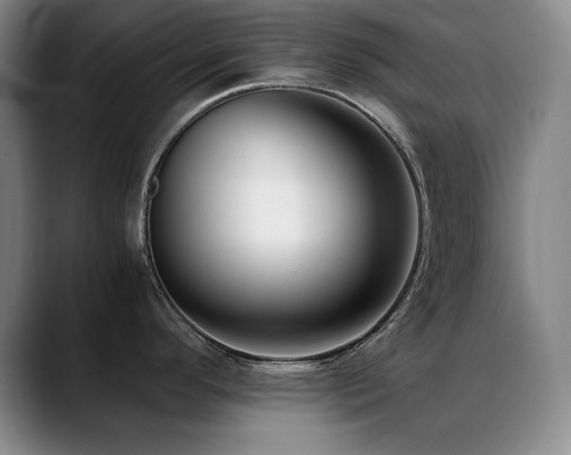 X0000089431296200706151302