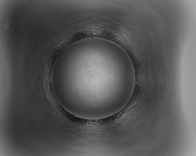 X0000089431297200706151301