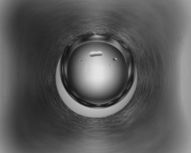 X0000089431298200706151301
