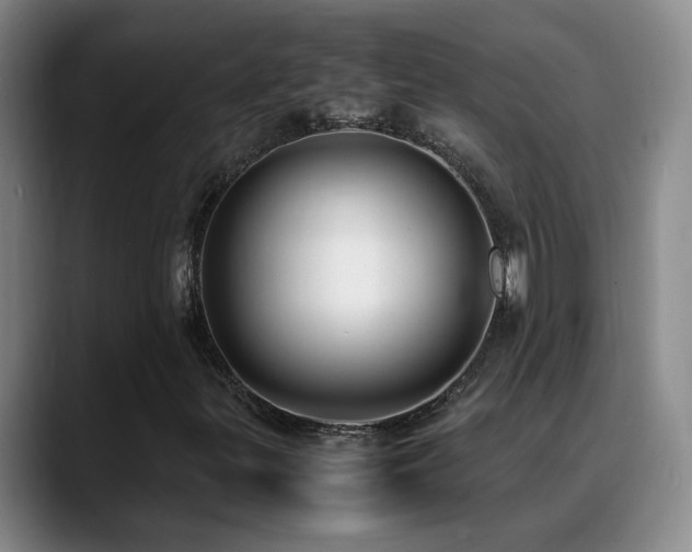 X0000089431299200706151301