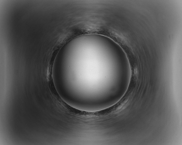 X0000089431300200706151301