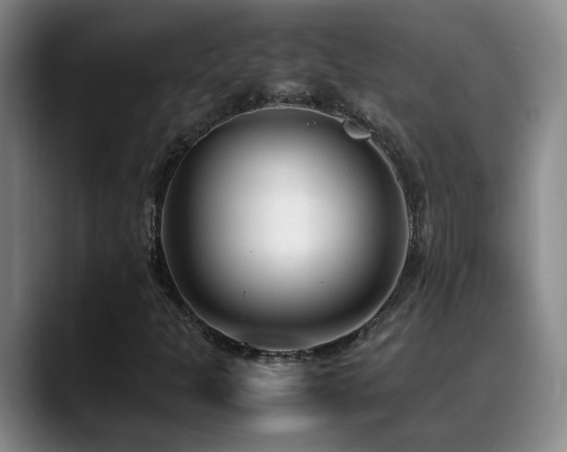 X0000089431301200706151301