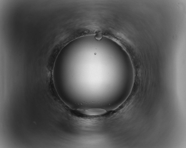 X0000089431302200706151301