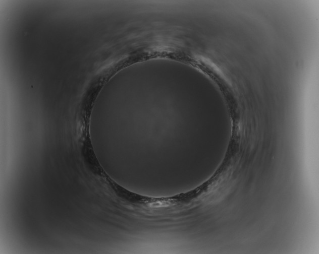 X0000089431303200706151301