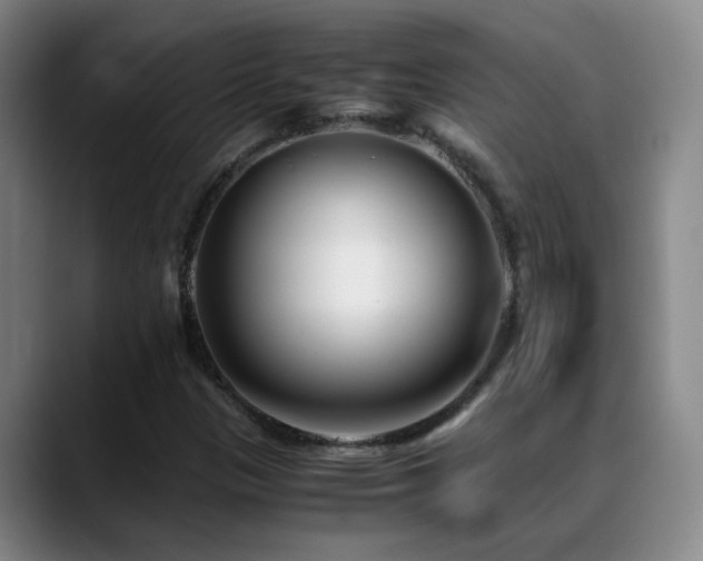 X0000089431305200706151301