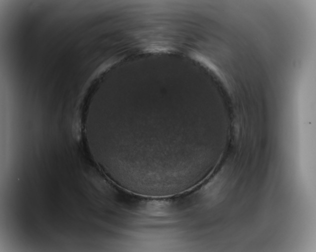 X0000089431306200706151301