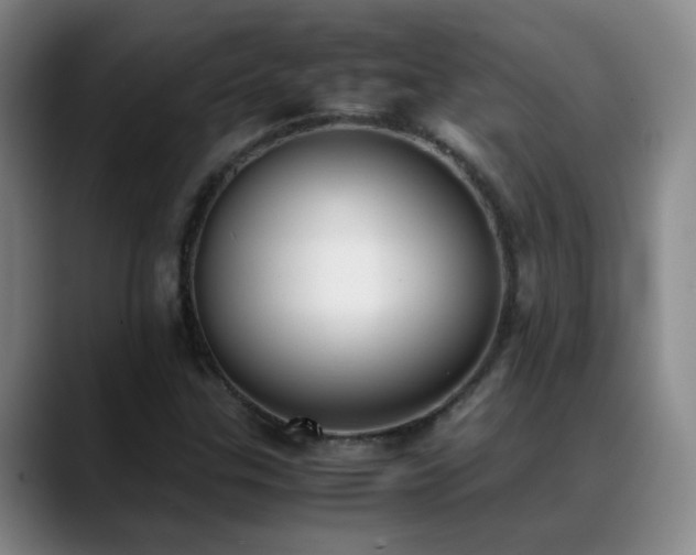 X0000089431307200706151301