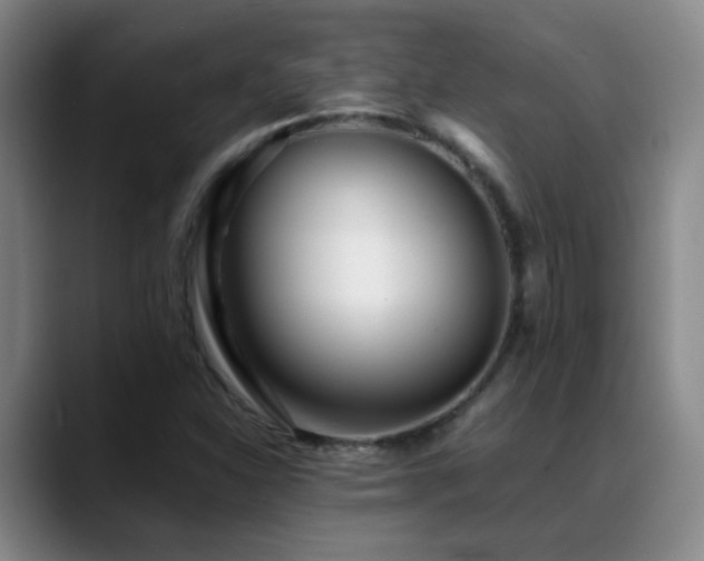 X0000089431310200706151301