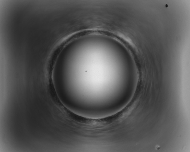 X0000089431311200706151301