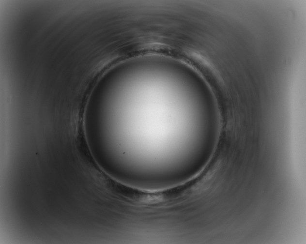 X0000089431313200706151301