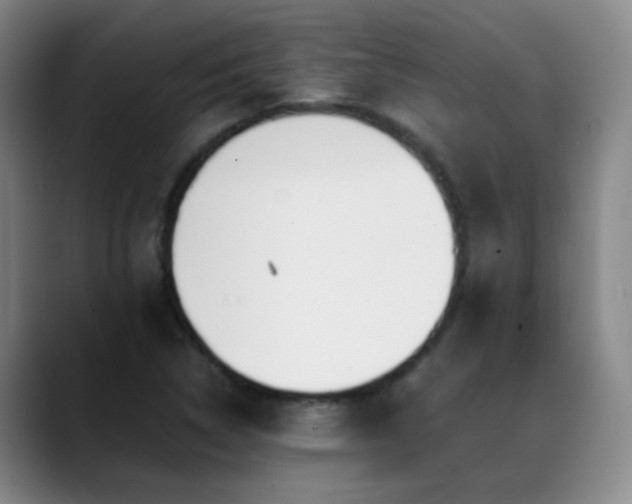 X0000089431314200706151301