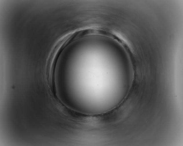 X0000089431316200706151301