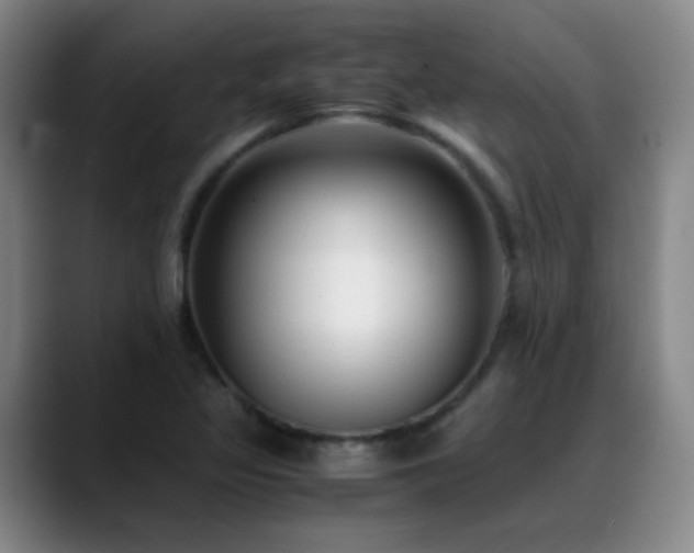X0000089431317200706151301