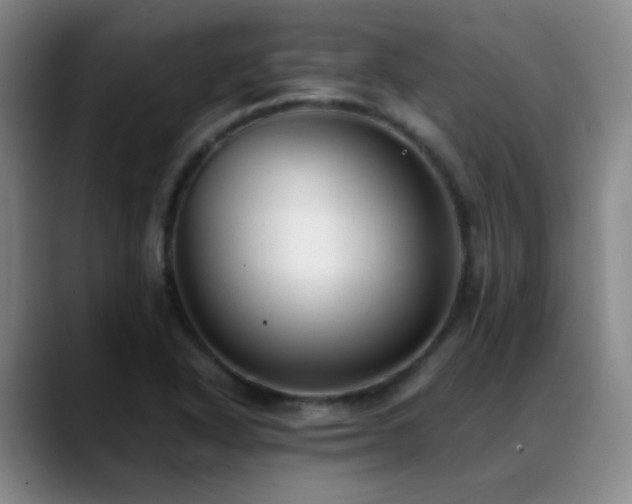 X0000089431318200706151301