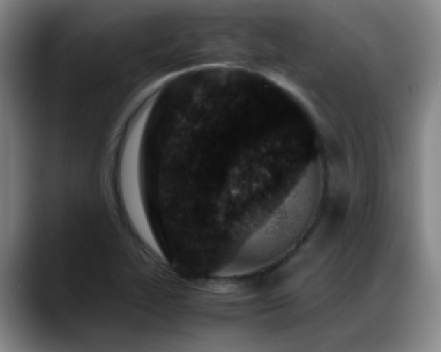 X0000089431319200706151301