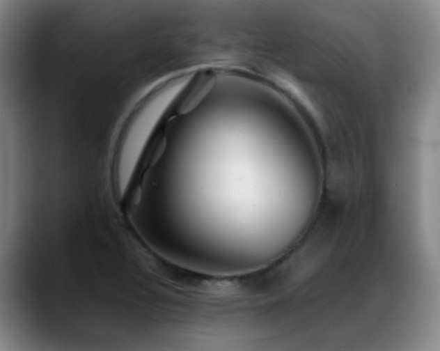 X0000089431320200706151301