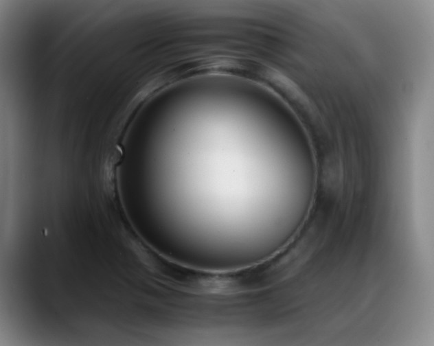 X0000089431321200706151301
