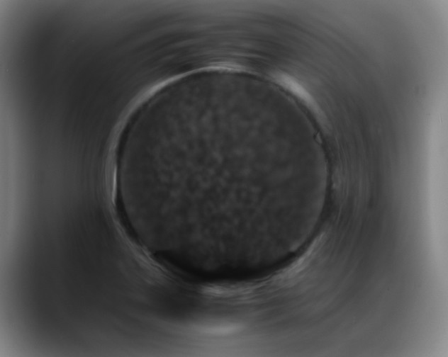 X0000089431323200706151302