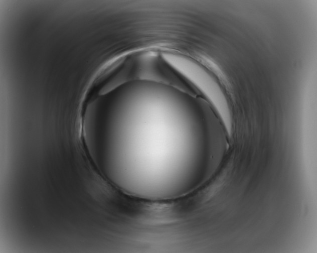 X0000089431324200706151302