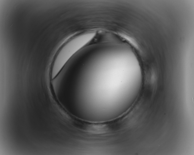 X0000089431325200706151302