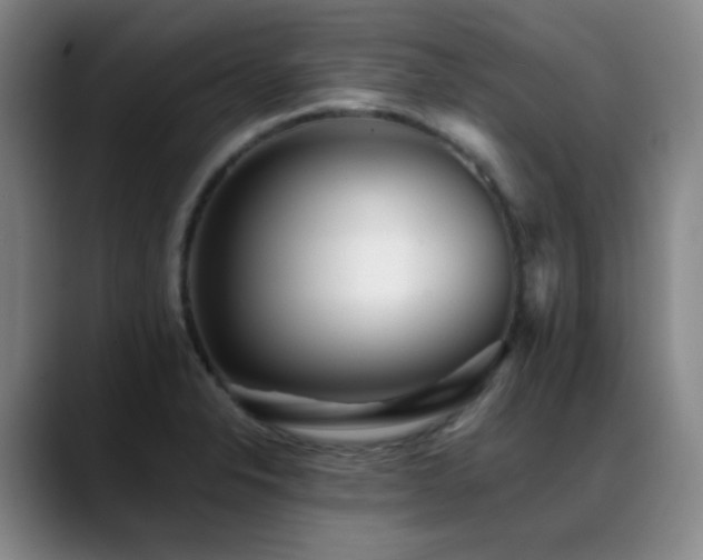 X0000089431326200706151302