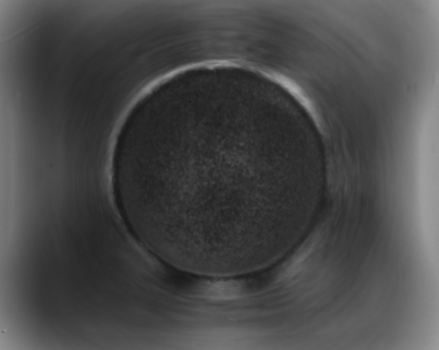 X0000089431327200706151302