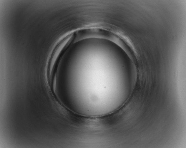X0000089431328200706151302