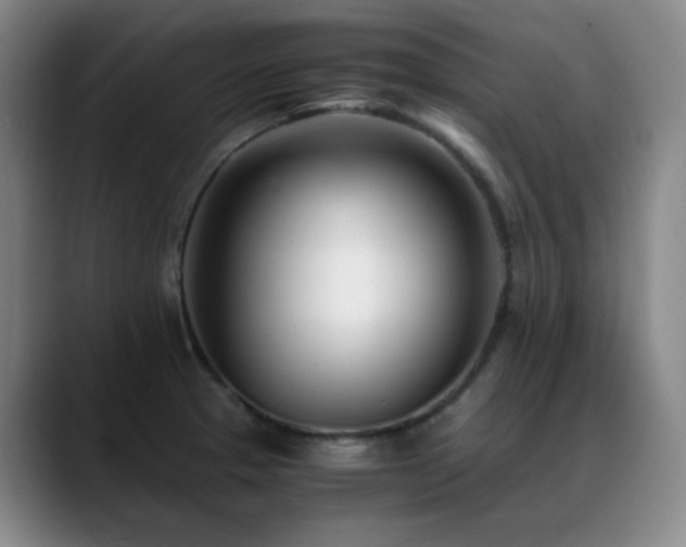 X0000089431329200706151302